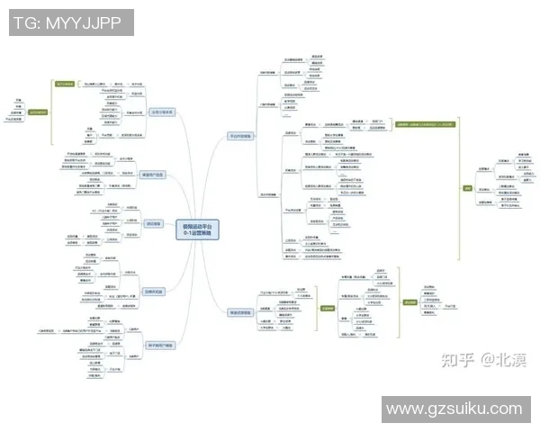 深入分析北京极限运动队的运营策略与发展模式探秘