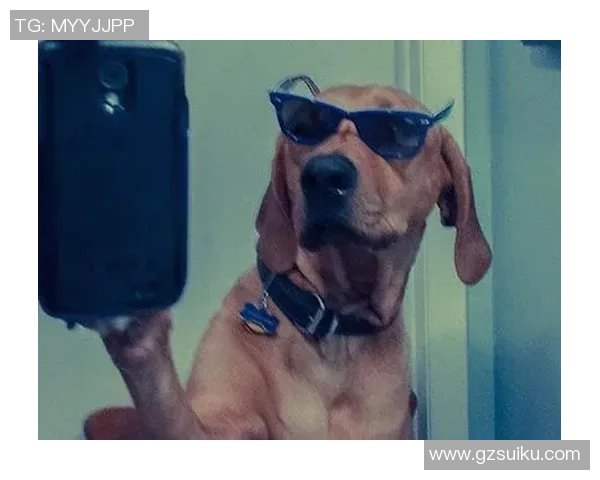 足球明星与爱犬情缘揭秘你知道哪个球星最爱狗狗吗 足球明星与爱犬情缘揭秘你知道哪个球星最爱狗狗吗