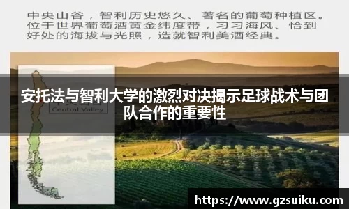 雷竞技官网入口